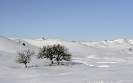 626774 (a): :2560x1600